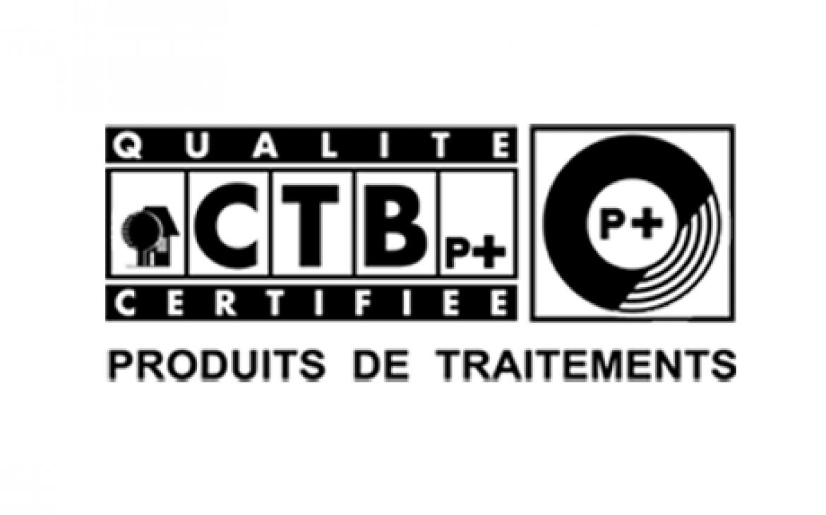 Logo CTB p+