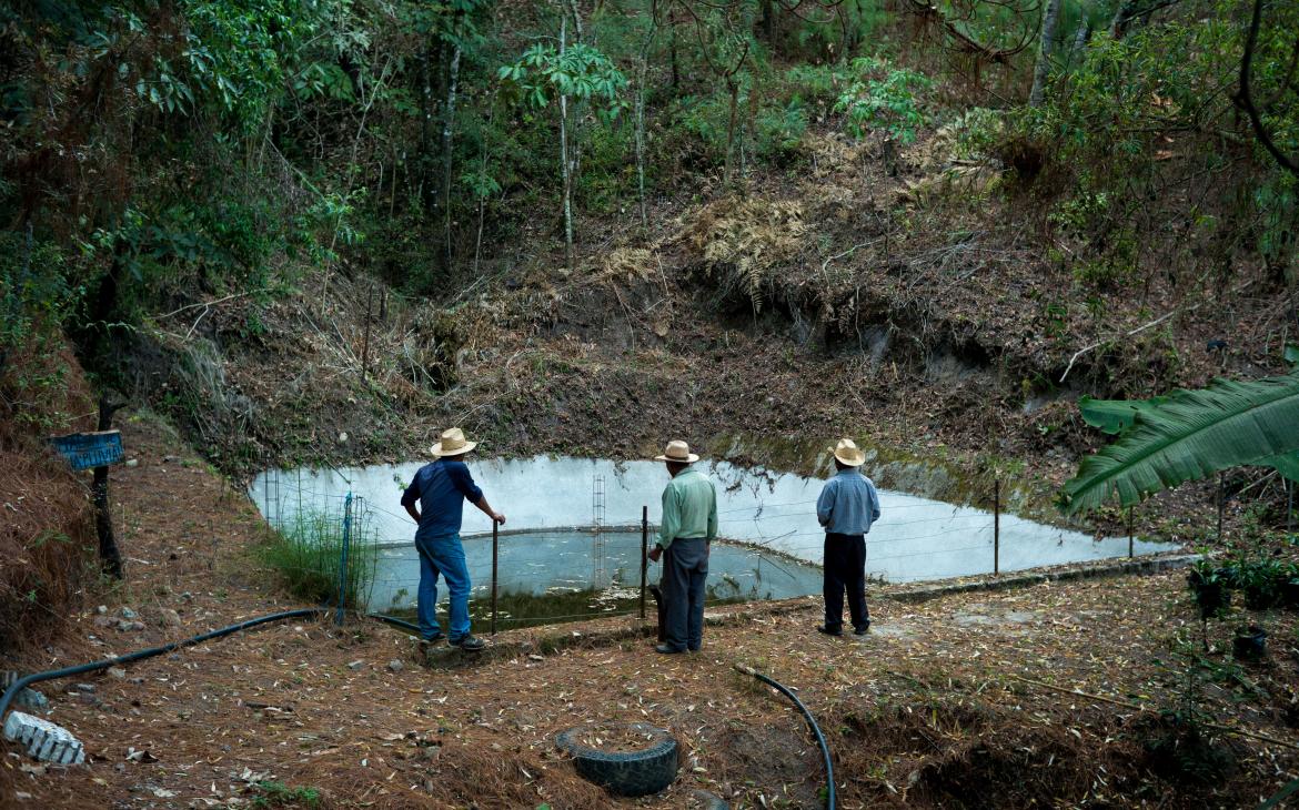 Trois hommes se tiennent devant un grand bassin d'eau de pluie stockée.