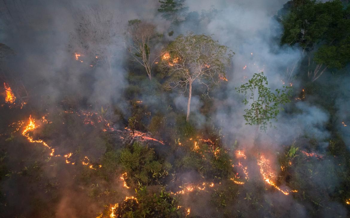 Amazonie en feu