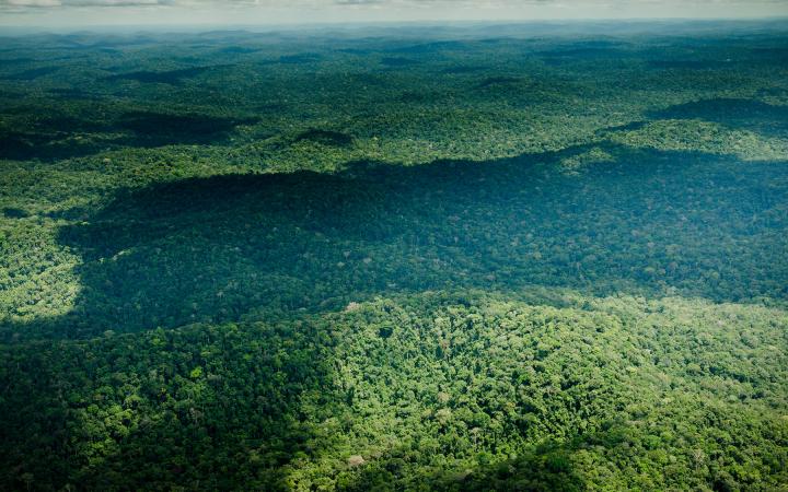 Vue aérienne de la réserve biologique d'Uatumã, Amazonas (Brésil)
