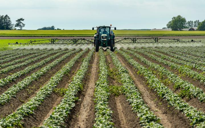 Un fermier épand des pesticides dans un champ de patates, Suède.