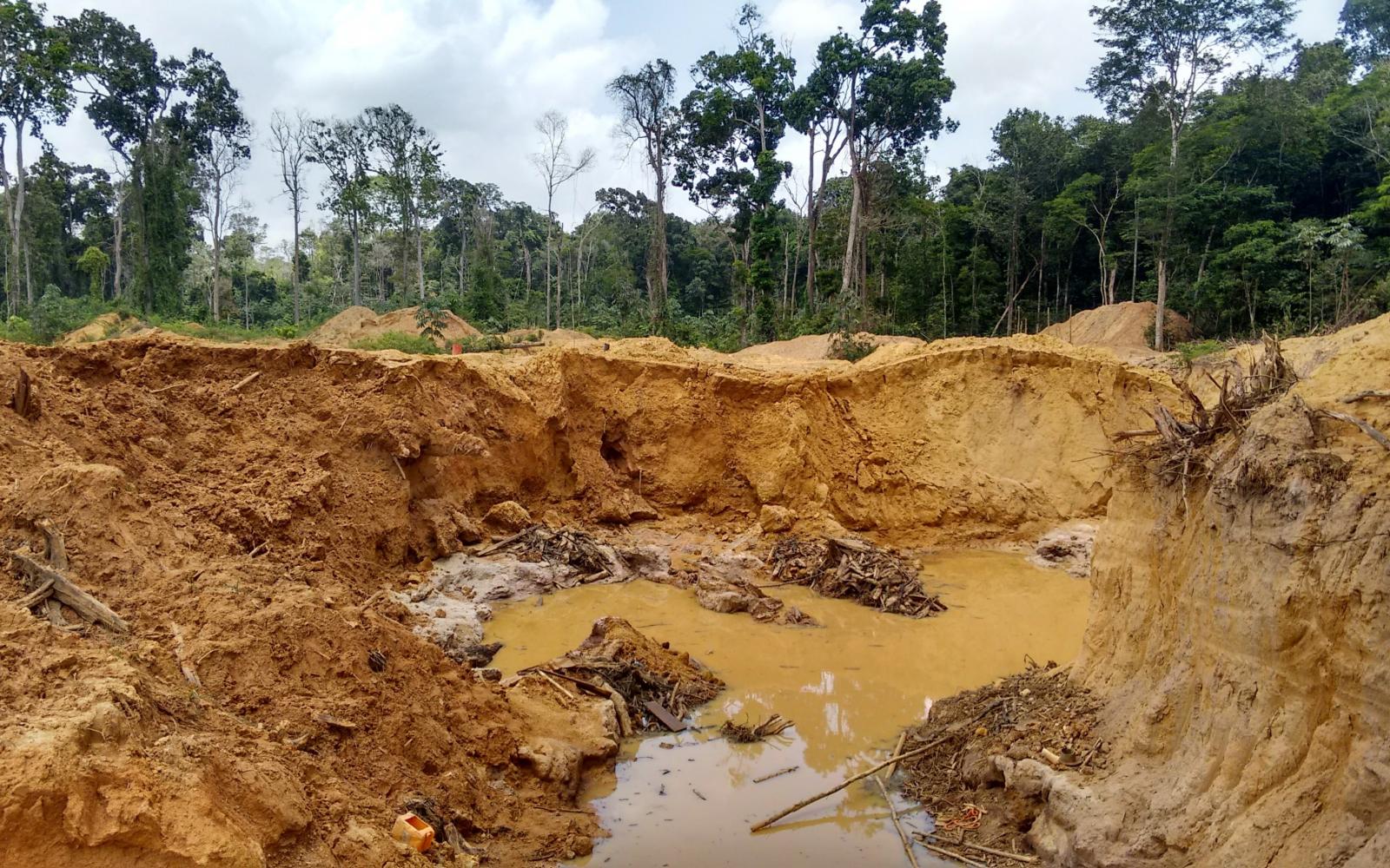 Les garimpeiros (adeptes des pratiques d'orpaillage illégal) contribuent fortement à la déforestation de l'Amazonie (Guyane française et Suriname)