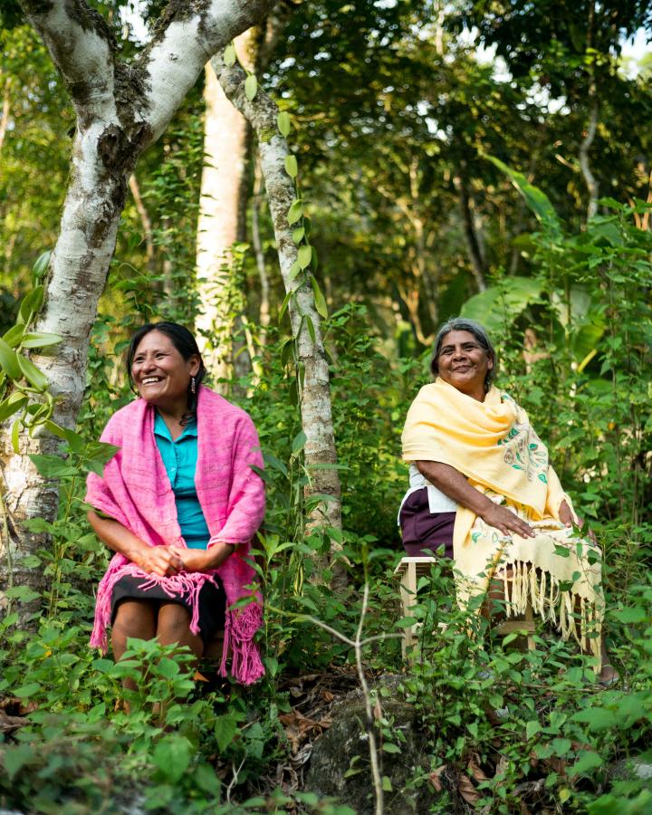 Deux femmes mexicaines souriantes, assises près de leur plantation de vanille.