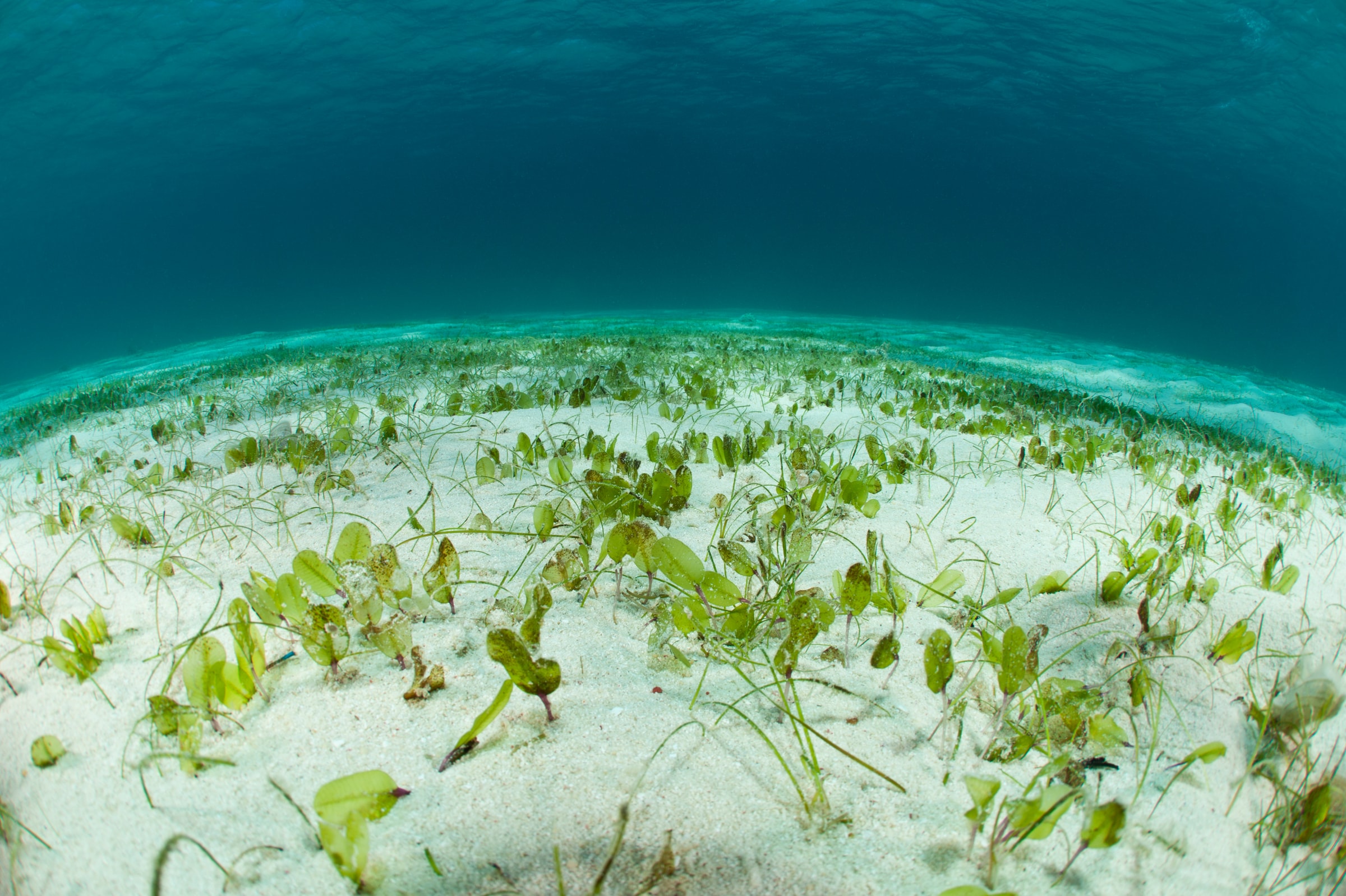 Eaux Philippines