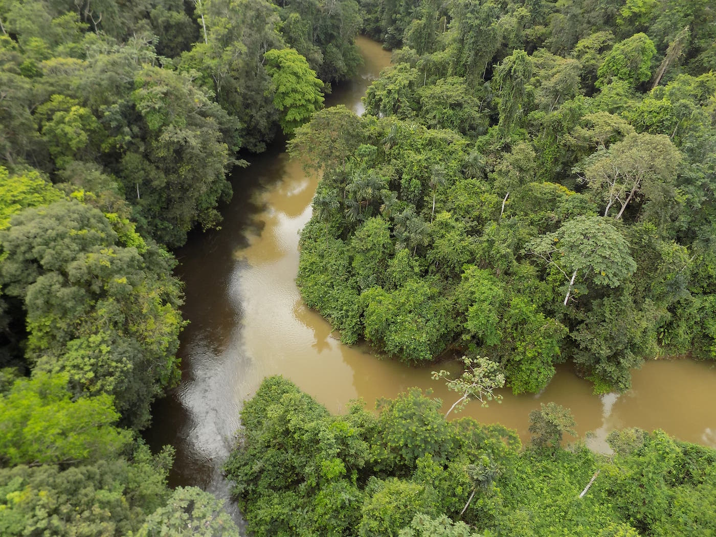 Rivière Guyane