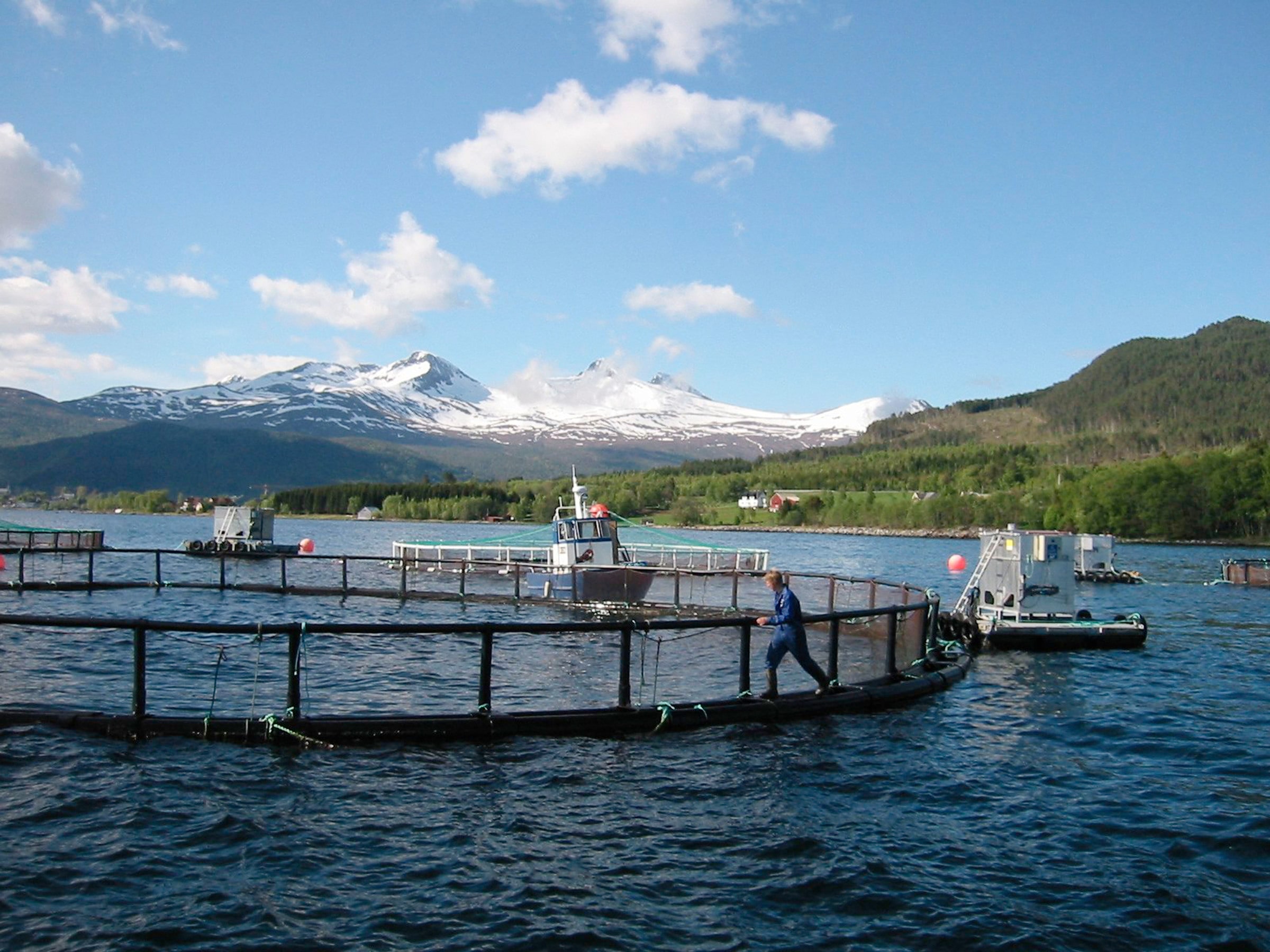 Ferme d'élevage de saumons, Vestnes, Norvège