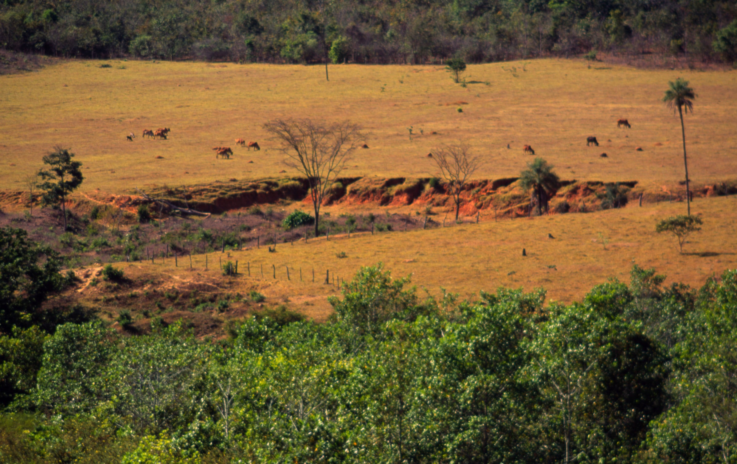 Erosion, Pirenópolis, Goiás (Brésil)