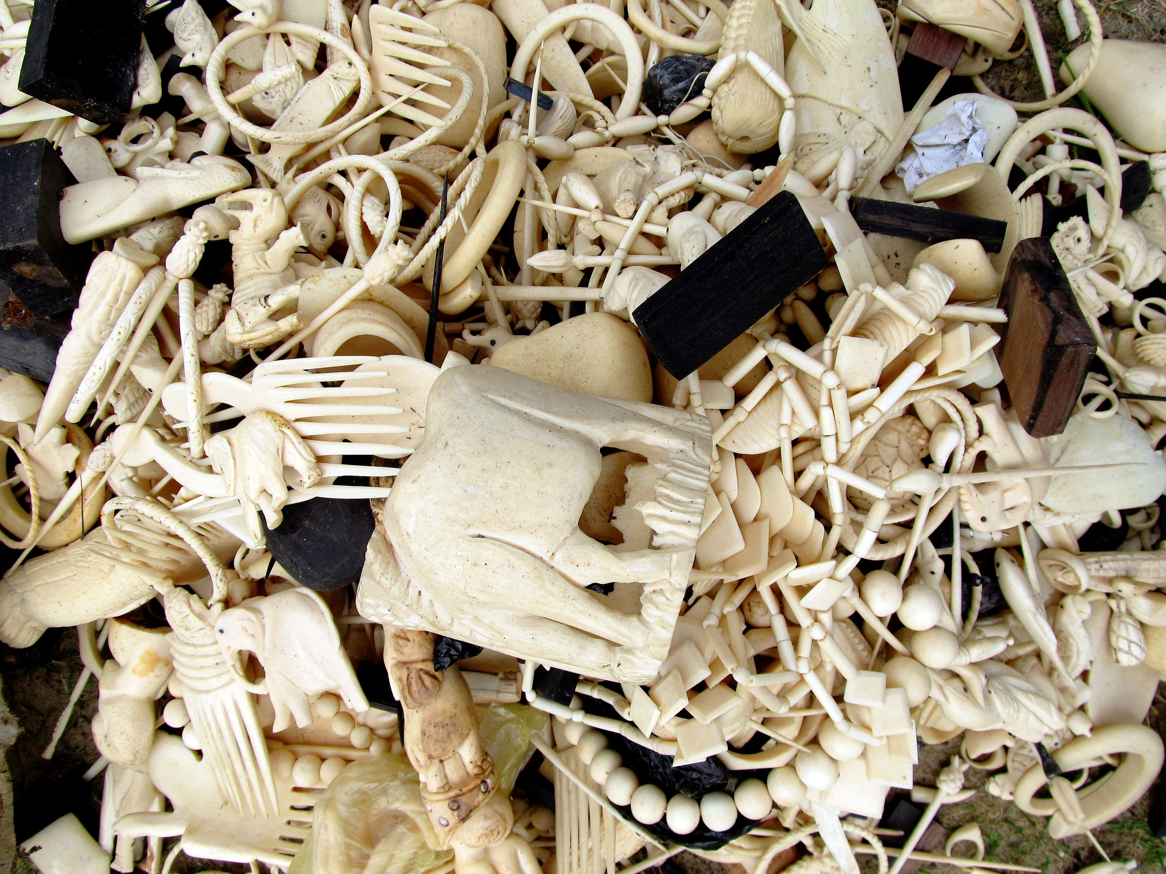 Plusieurs produits en ivoire sculptés à partir de défenses d'éléphants et de cornes de rhinocéros confisqués par des patrouilles anti-braconnage, Gabon (Afrique)