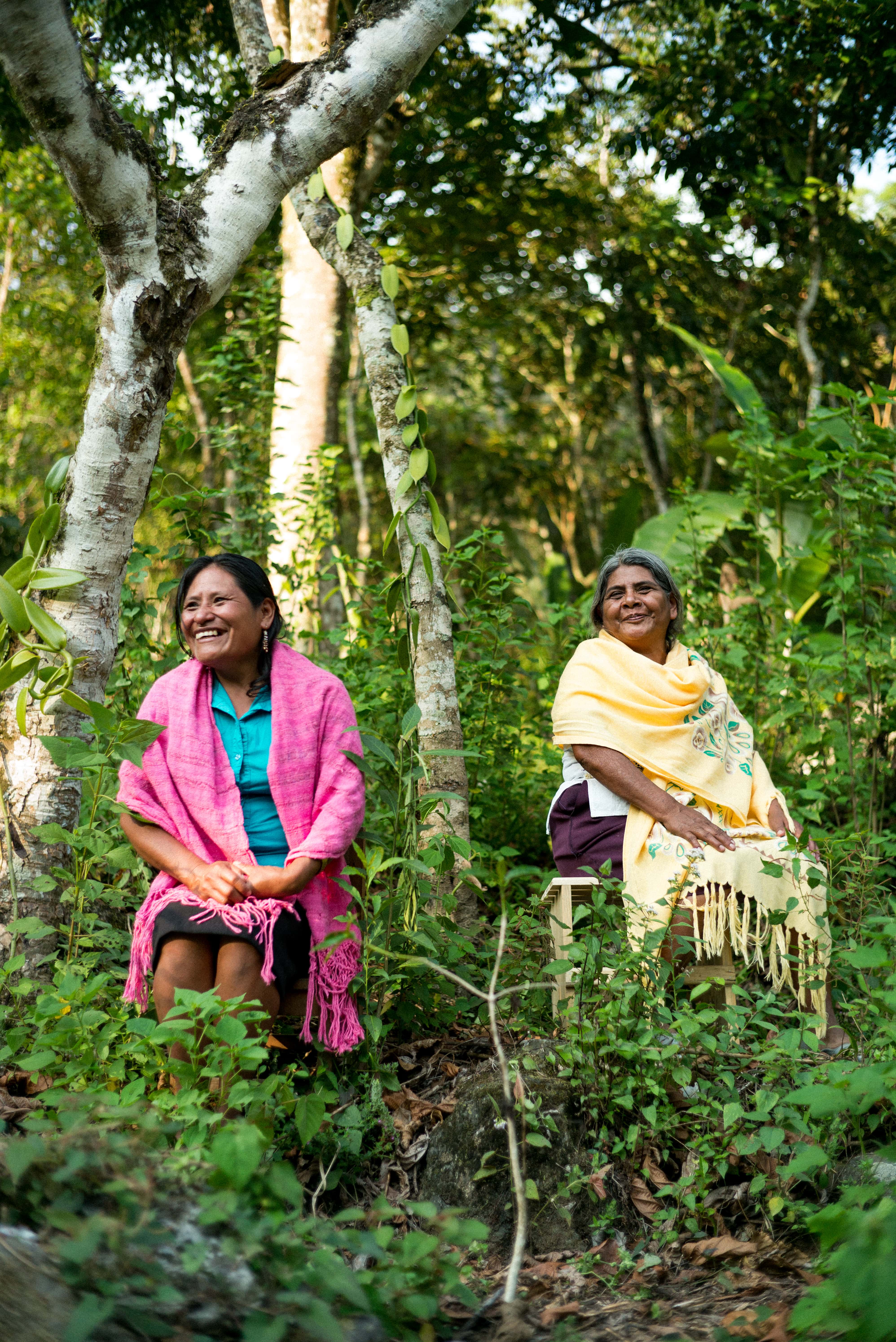 Deux femmes mexicaines souriantes, assises près de leur plantation de vanille.