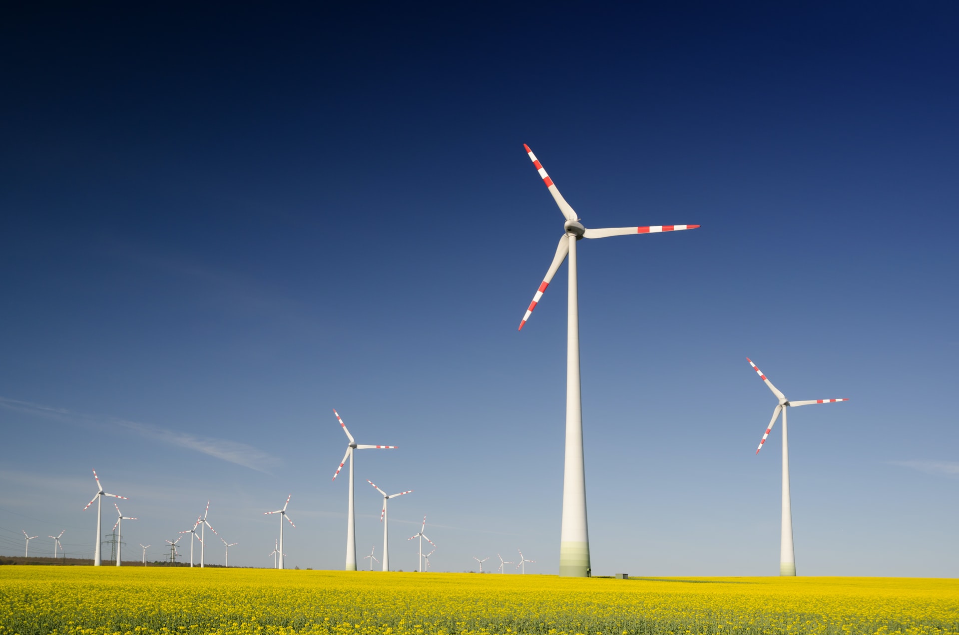 Un champ d'éolienne