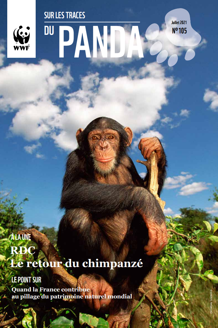 Sur les Traces du Panda 105