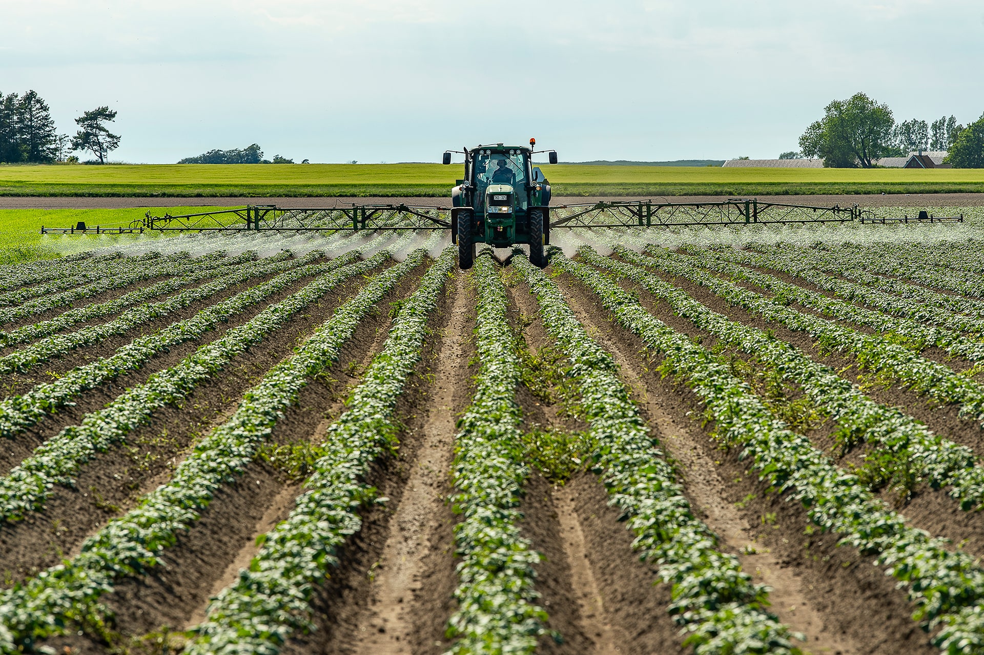 Tracteur diffusant du pesticide dans les champs