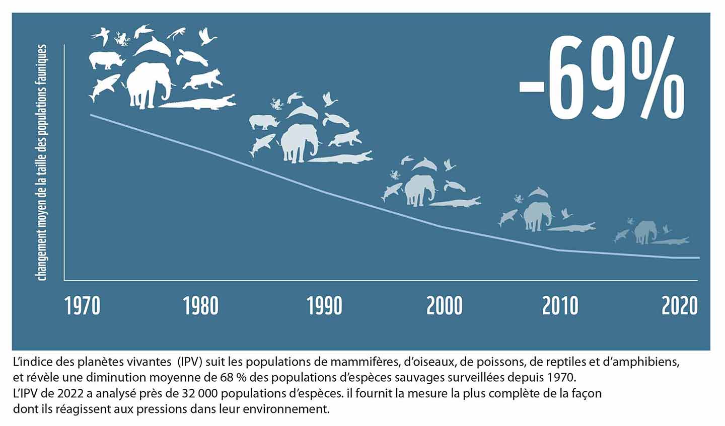 Courbe biodiversité LPR 2022