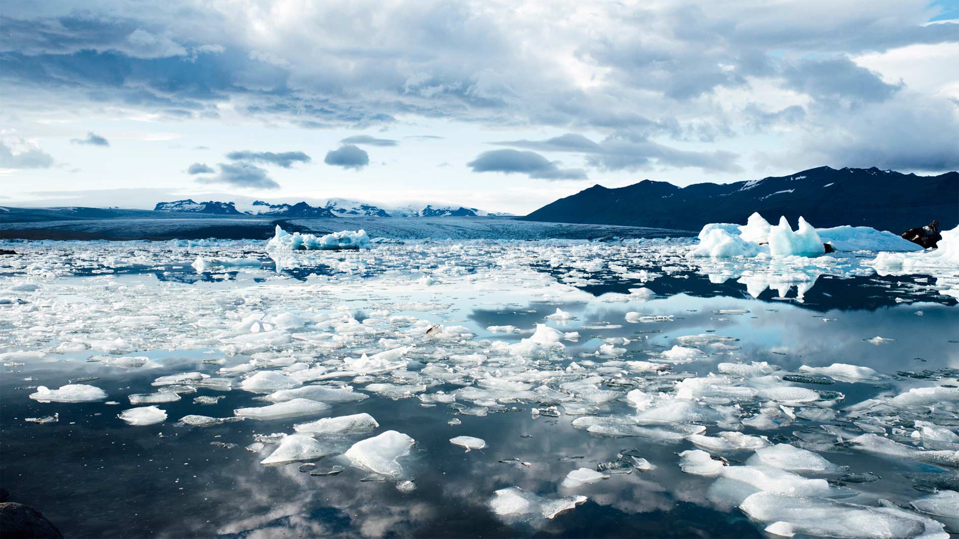 COP27 : quel bilan à mi-chemin ? 3 demandes clefs pour une conclusion utile pour le climat