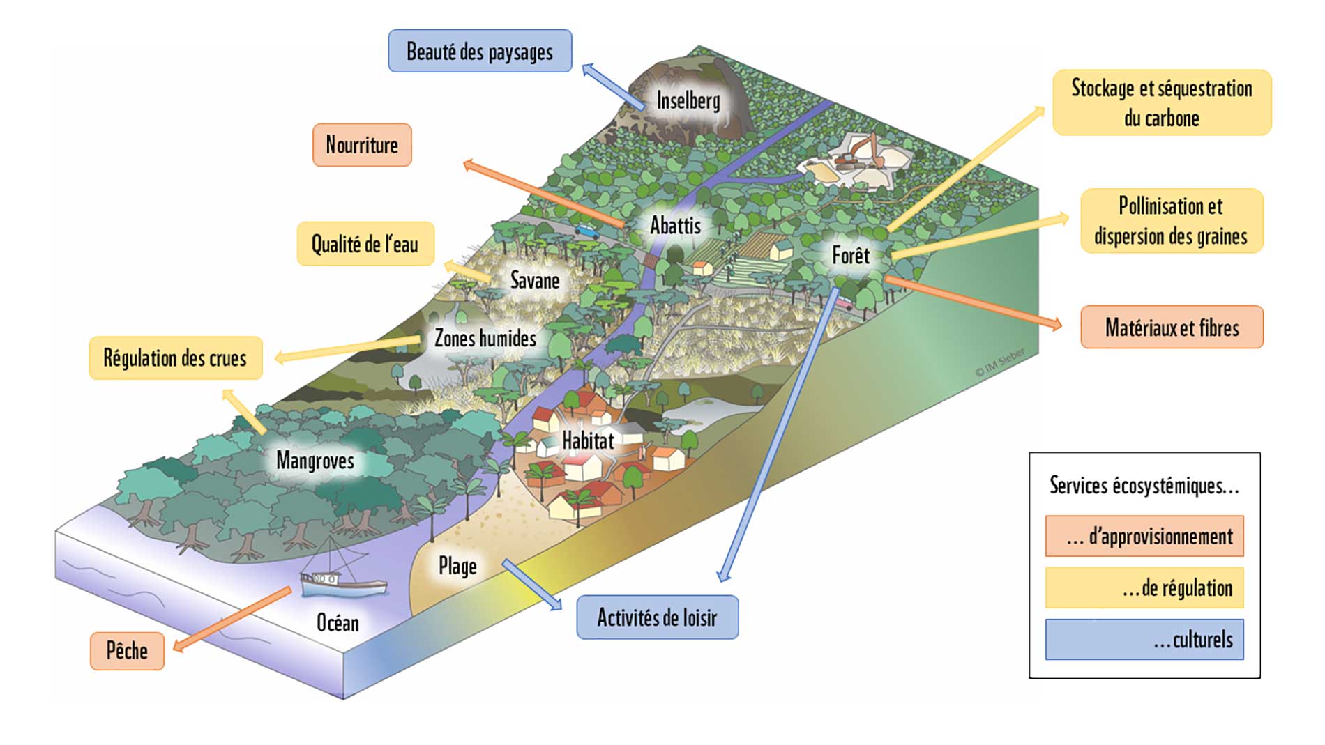Exemples de Services Écosystémiques sur le bassin du fleuve Maroni