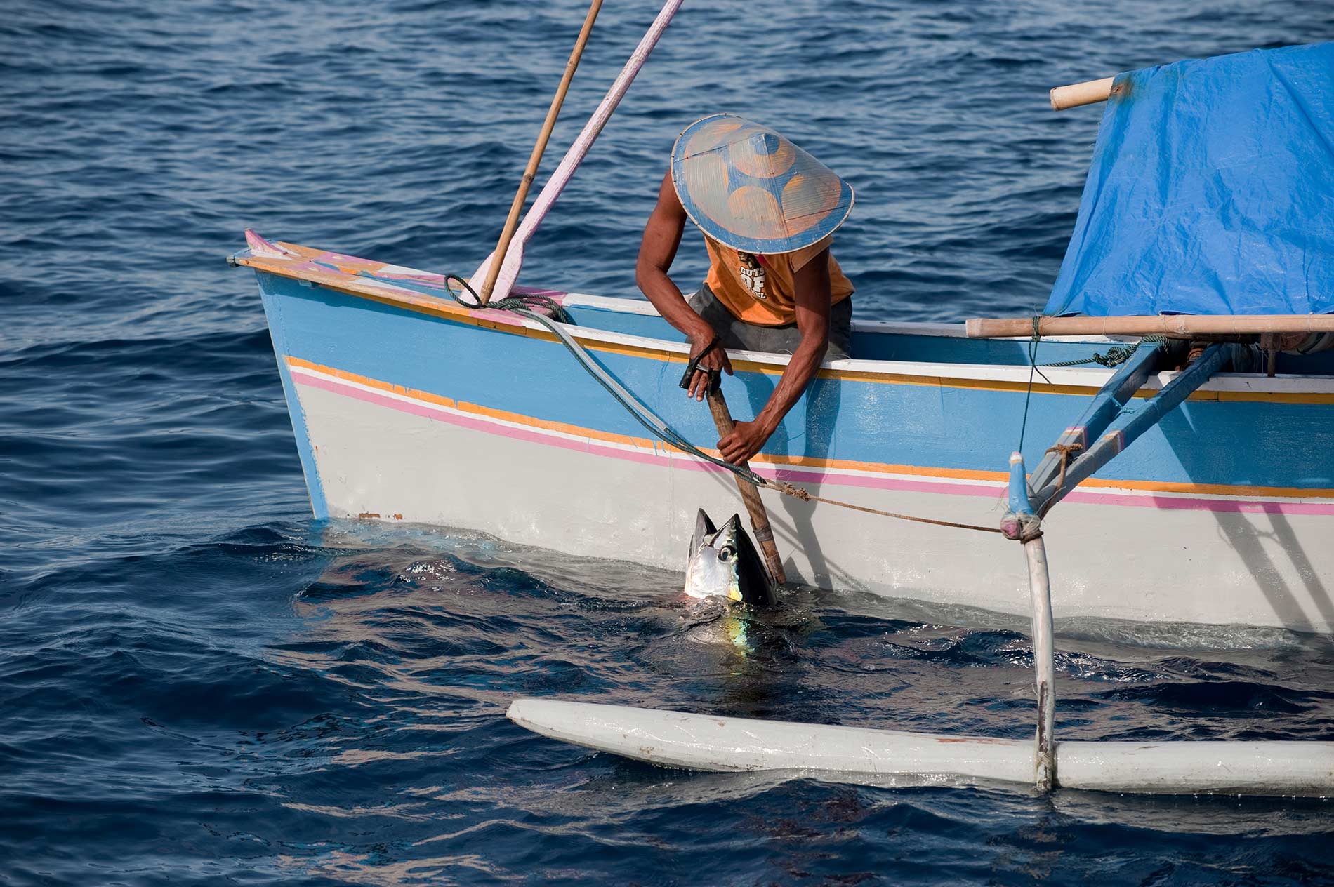 Pêche d'un thon dans le Pacifique