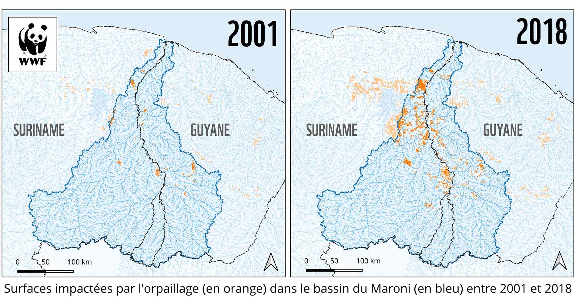 Orpaillage illégal en Guyane