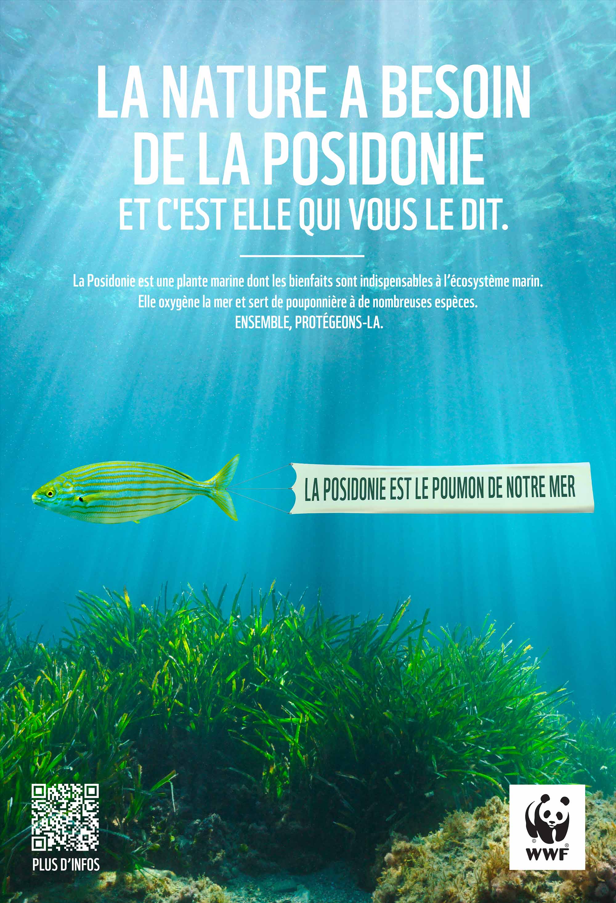 Visuel de la campagne de communication WWF France sur la posidonie