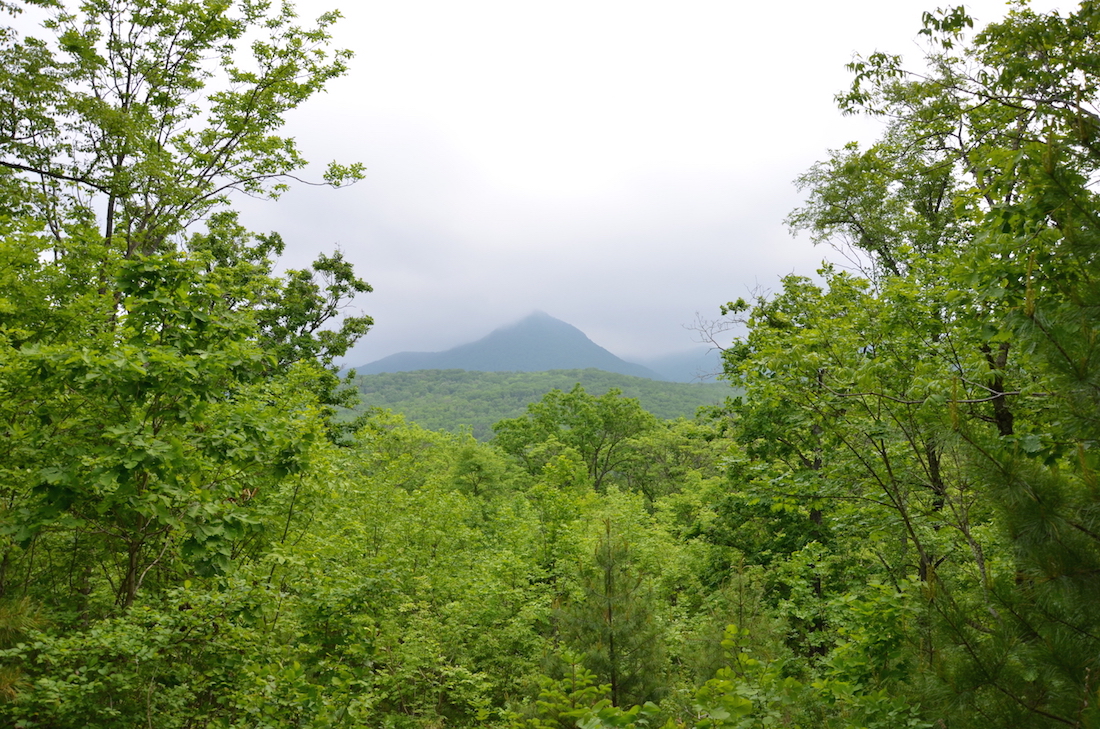 Terre du léopard, Parc national russe