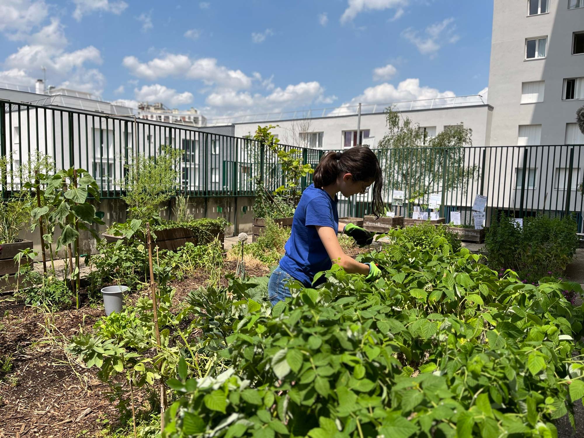 Ecole-jardiniere une fille prépare le potager