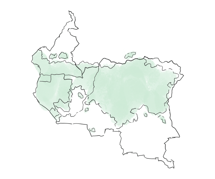 Bassin du congo