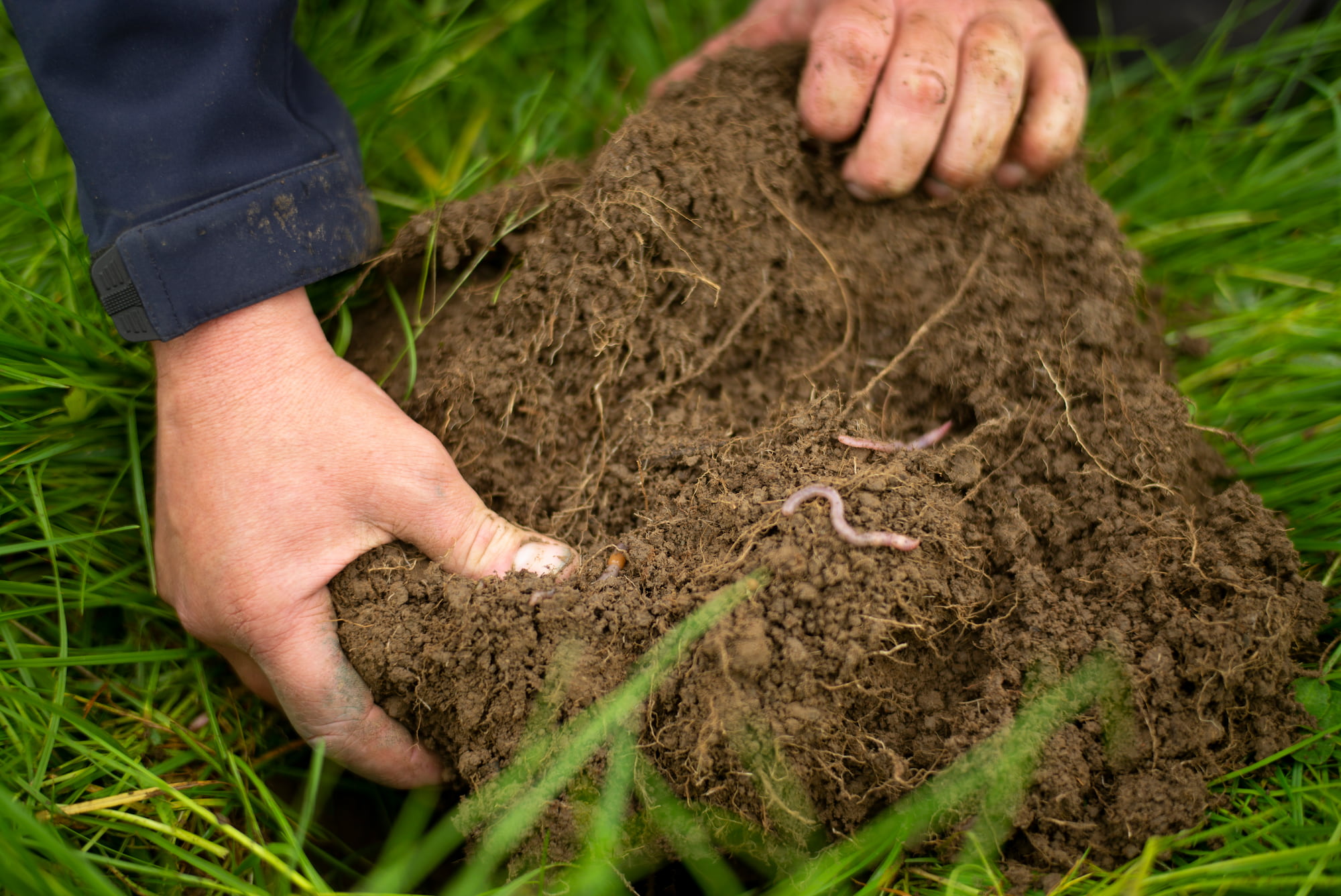 Un agriculteur inspecte ses sols