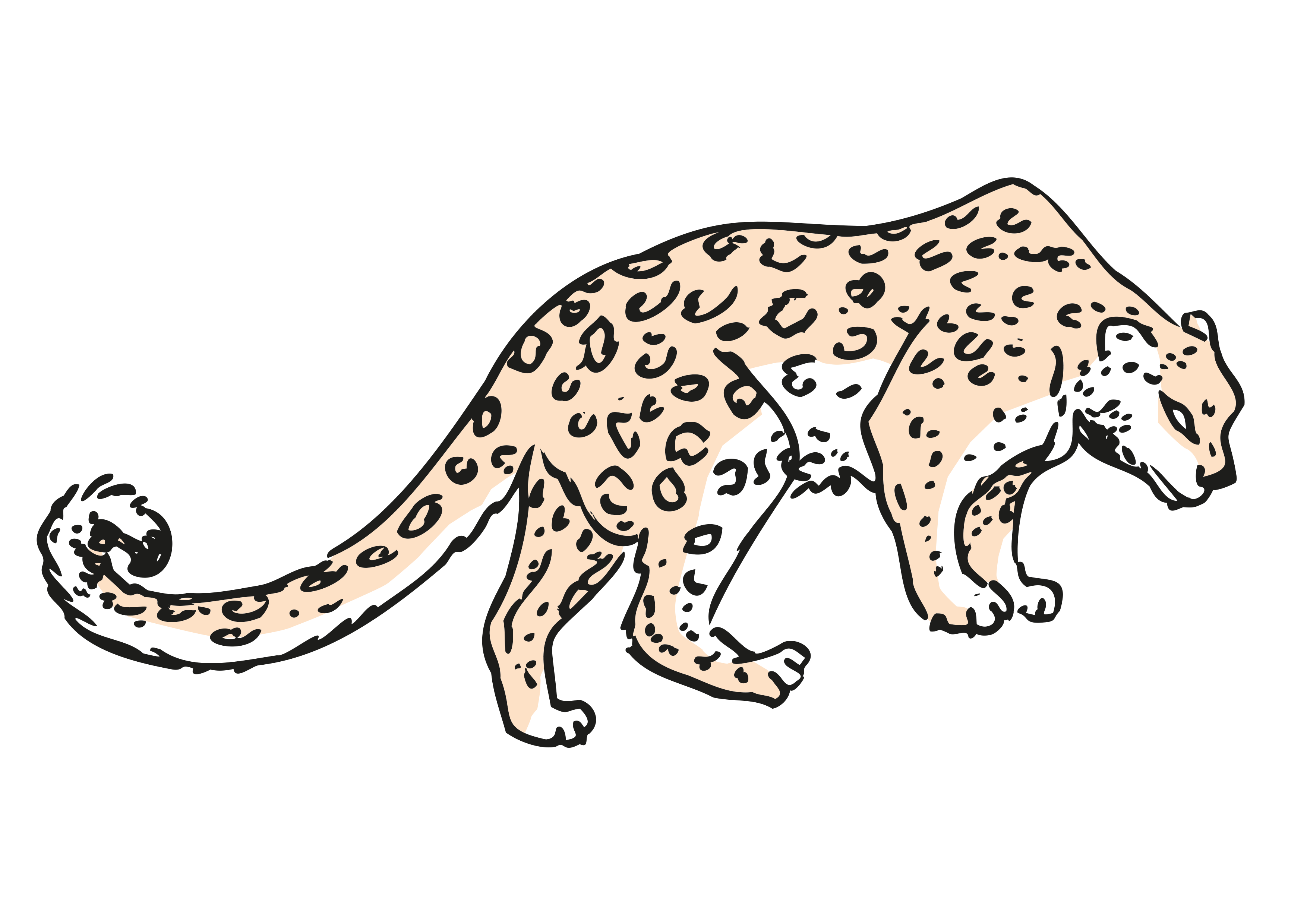 Panthère des neiges