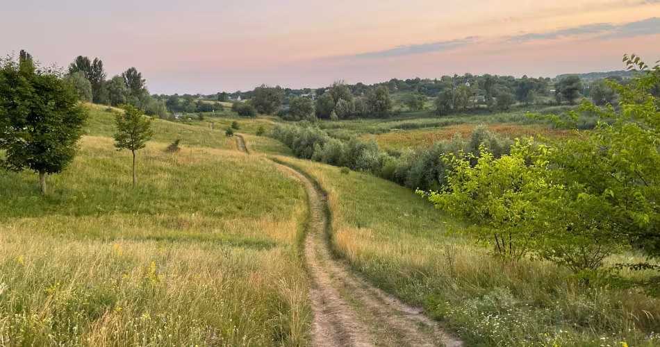 Sentier en nature