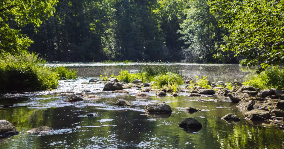 La rivière Siuntionjoki, dans le sud de la Finlande