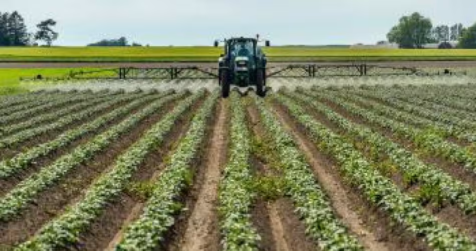 Un fermier épand des pesticides dans un champ de patates, Suède.