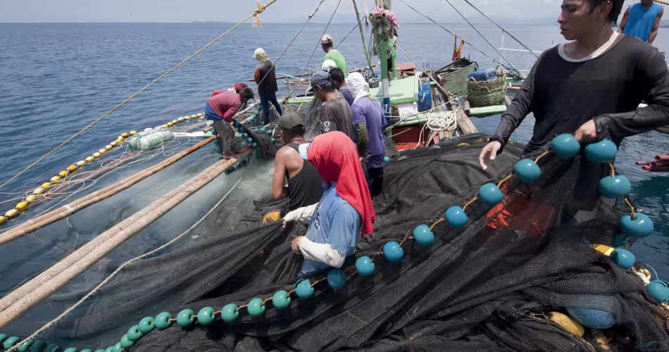 Pêche au baling pour capturer des « dilis », petits poissons vivant en bancs. Roxas, Palawan, Philippines