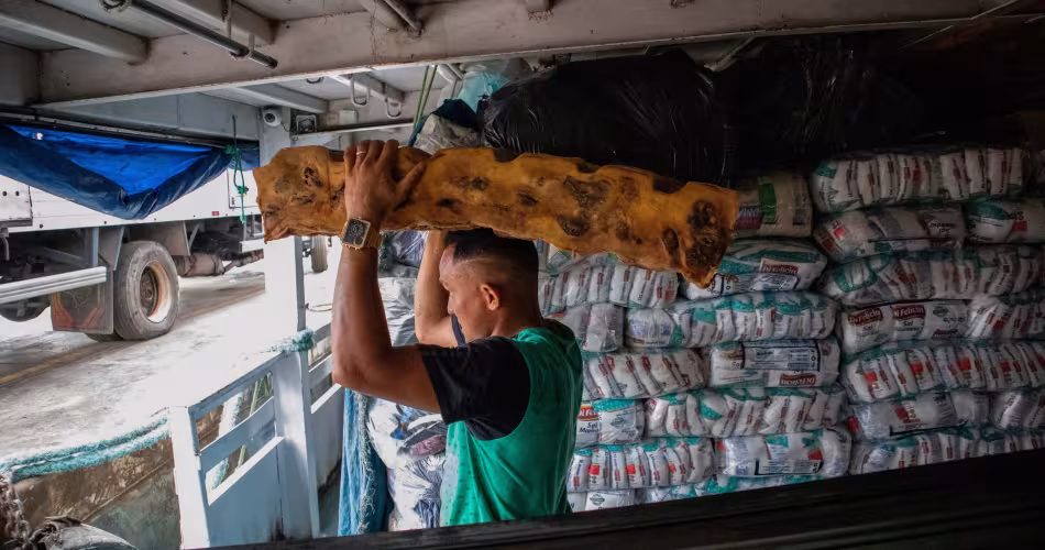Acheminement du caoutchouc naturel en Amazonie