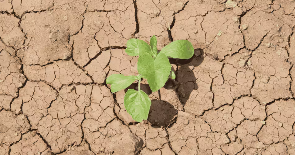 Jour du Dépassement : dès le 24 avril, la France vit à crédit écologique