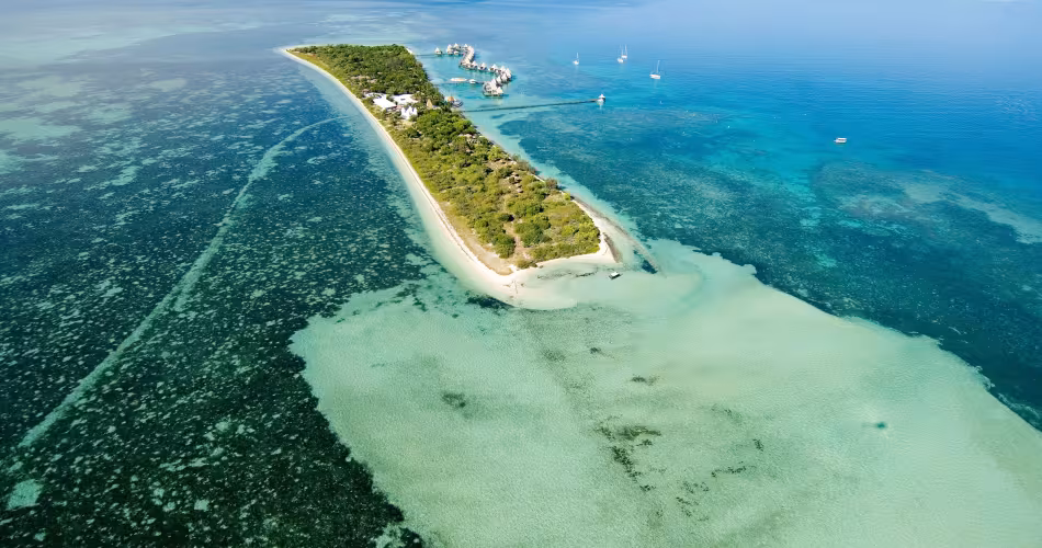 Barrière de corail en Nouvelle-Calédonie au coeur de l'AMP en mer de Corail, aire protégée de l’îlot Maitre.