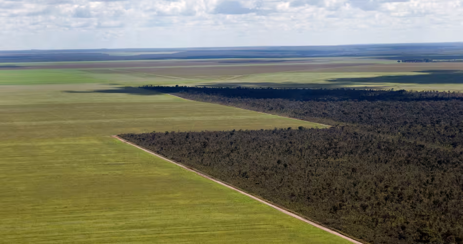 Vue aérienne des cultures de soja dans le Cerrado