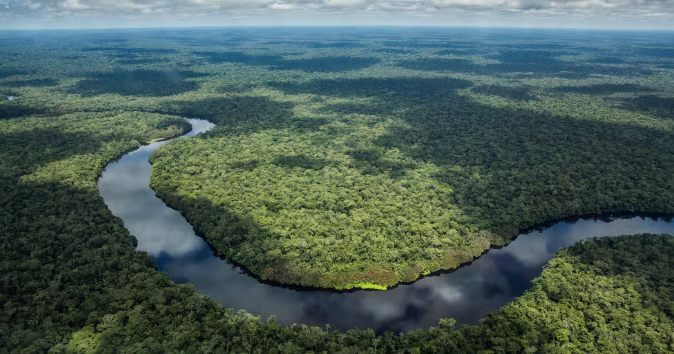 Vue aérienne de la rivière Luilaka au cœur du Parc National de Salonga, République Démocratique du Congo