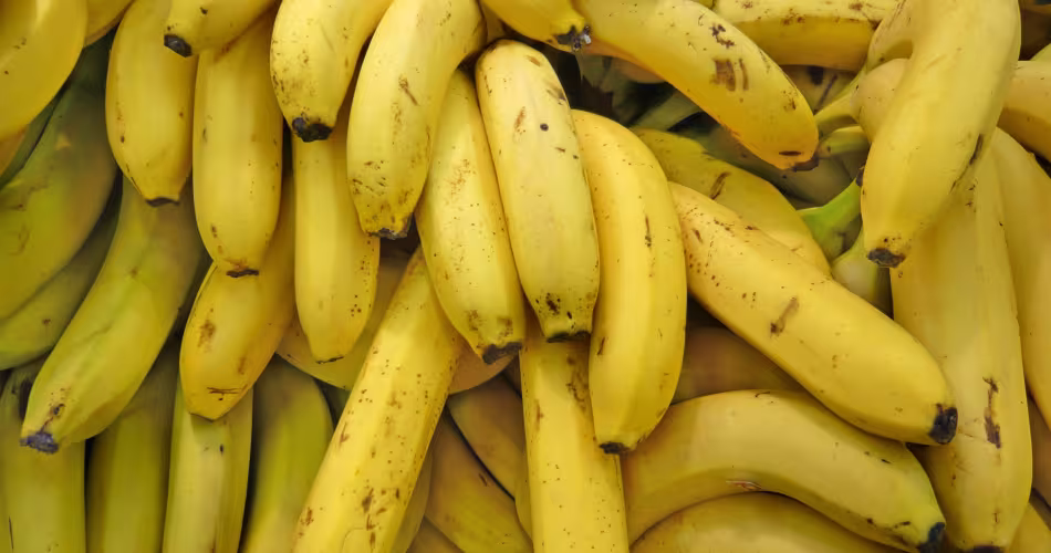 Le WWF France et la Compagnie fruitière collaborent pour une agriculture durable et une consommation plus responsable de la banane.