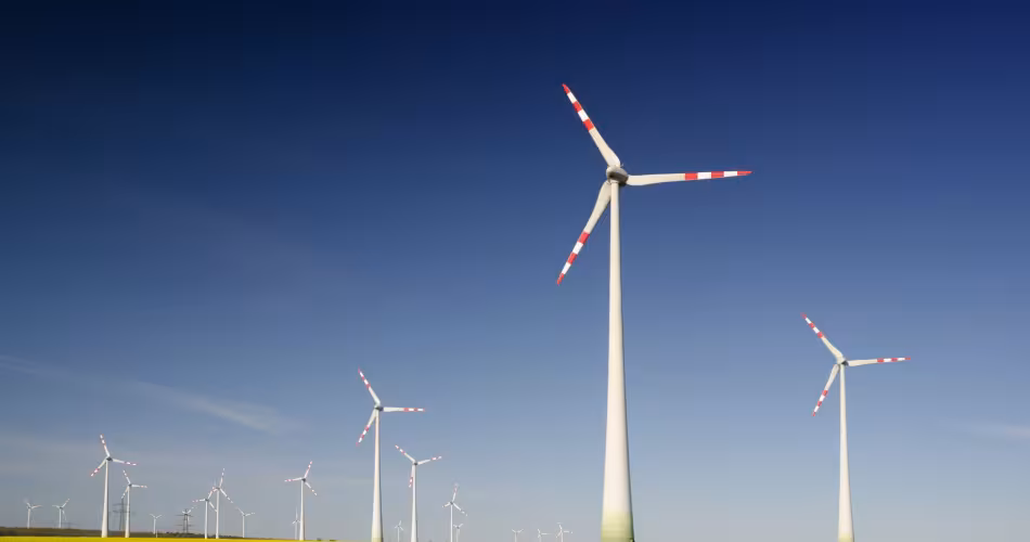 L'éolien est la 2ème source la plus utilisée après l’hydraulique pour produire de l’électricité renouvelable.