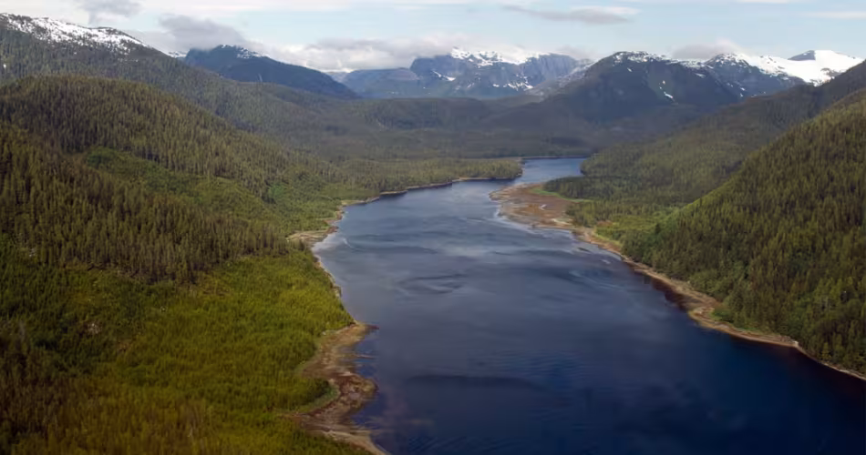 Vue aérienne de la Forêt pluviale de Great Bear en Colombie-Britannique.