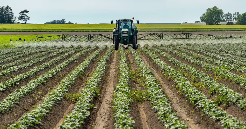 Un fermier épand des pesticides dans un champ de patates, Suède.