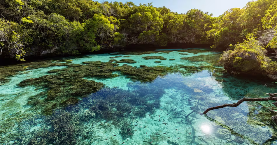 Nouvelle Calédonie - natural pool