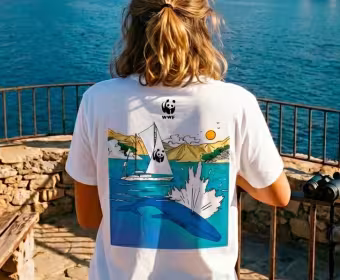 tshirt boutique blue panda baleine