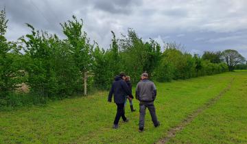 Avec des terres protégées et mieux irriguées grâce aux haies, les agriculteurs peuvent augmenter leur productivité.