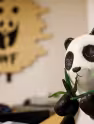 La figurine du panda dans les locaux du WWF France