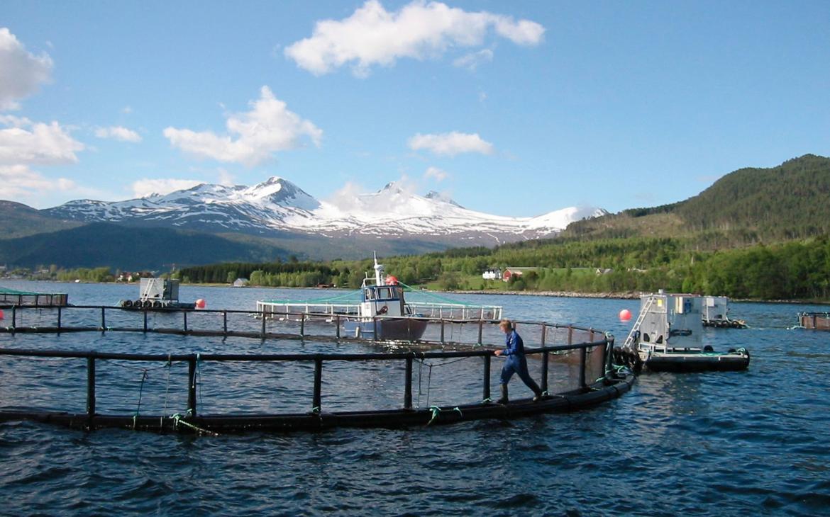 Ferme d'élevage de saumons, Vestnes, Norvège