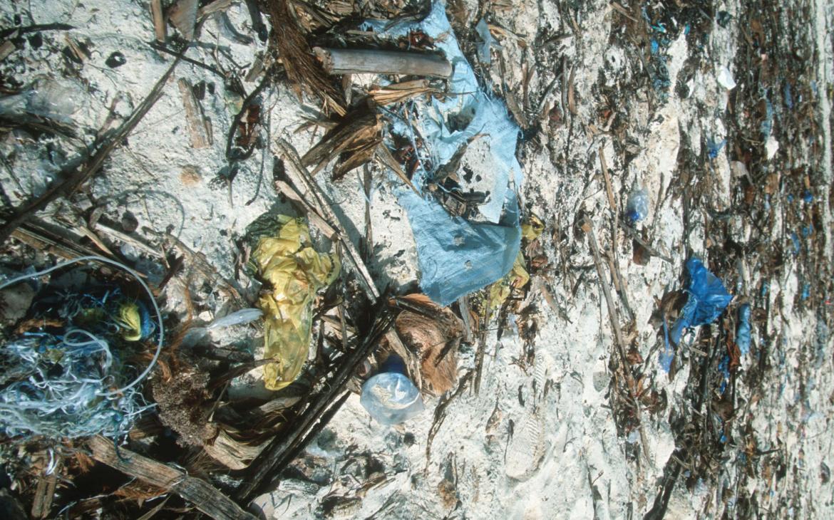 Déchets sur l'île Zanzibar (Tanzanie)