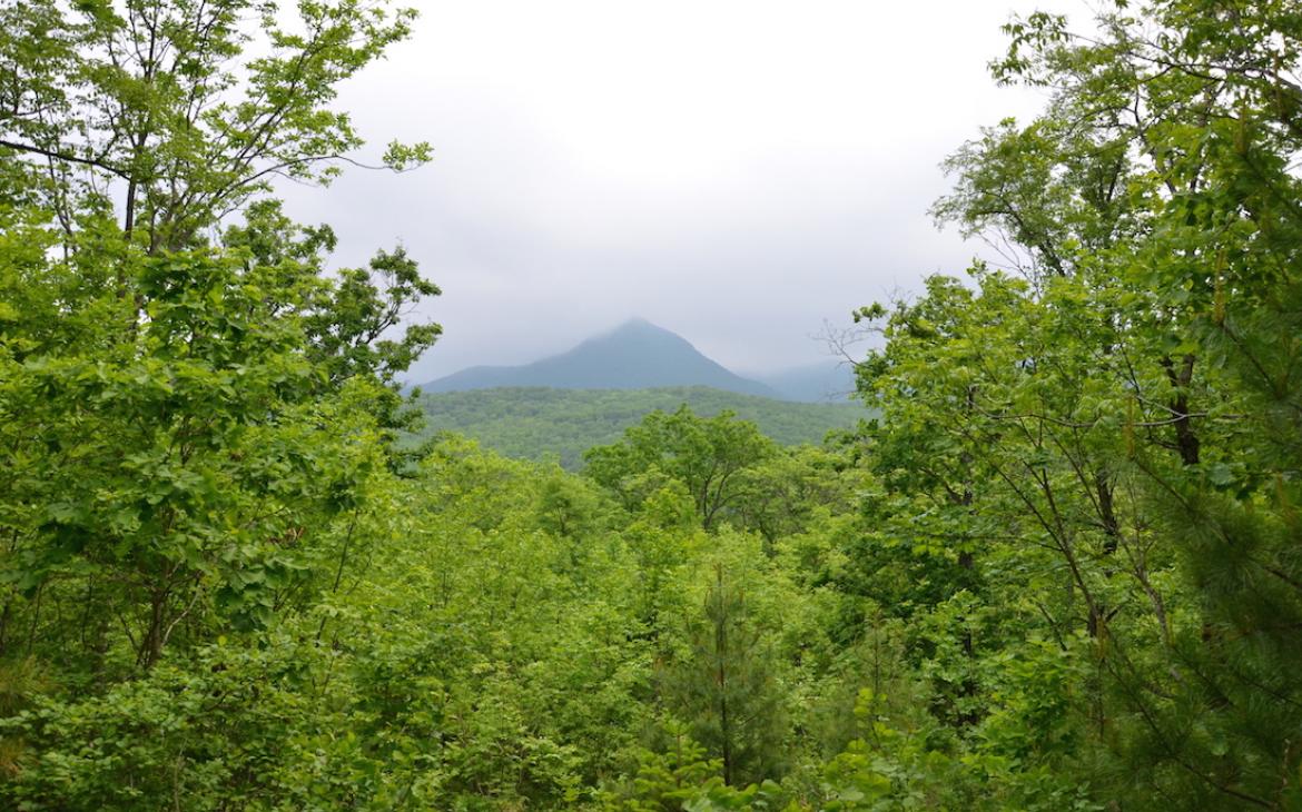 Terre du léopard, Parc national russe