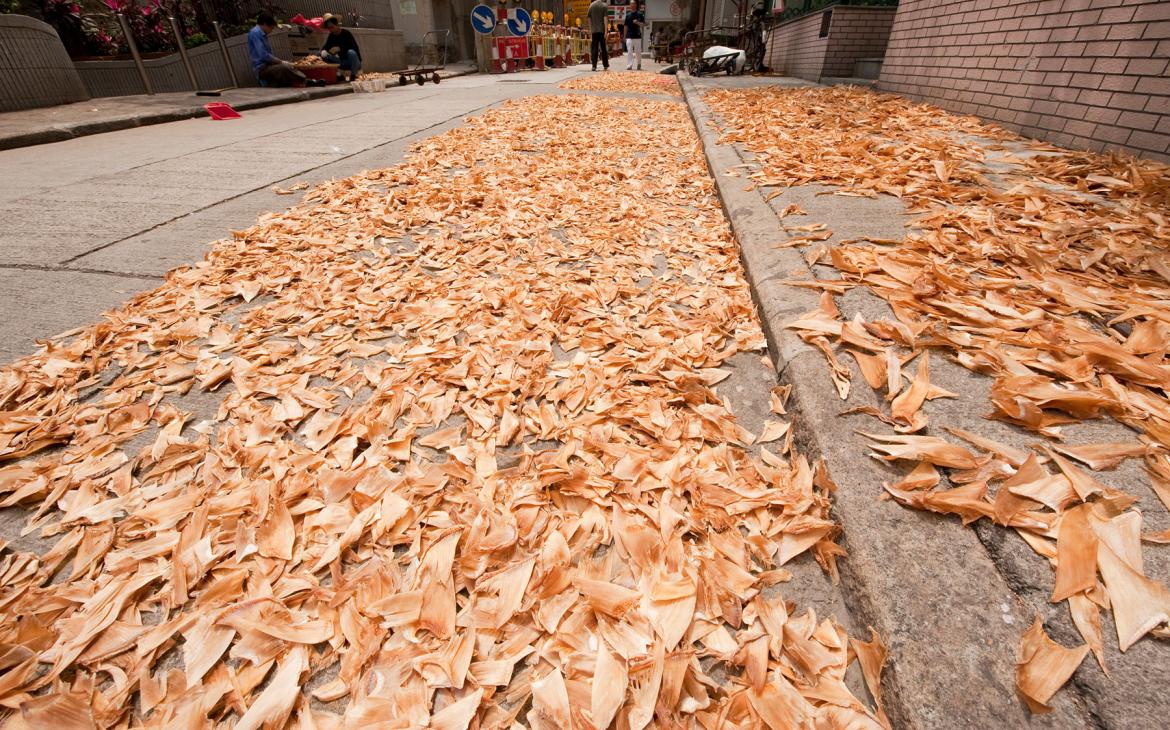 Ailerons de requin en train de sécher, Hong-Kong