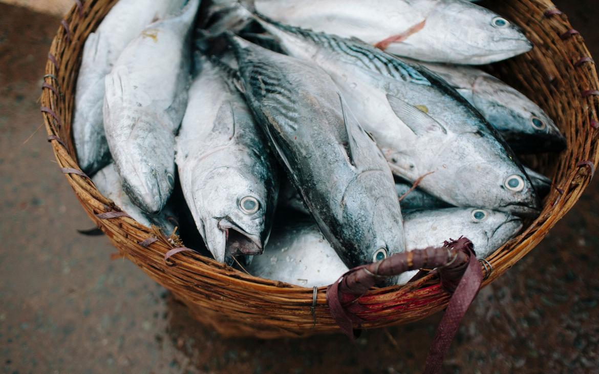 Poissons dans un panier, marché au poisson de My Tho, Mekong, Vietnam. 