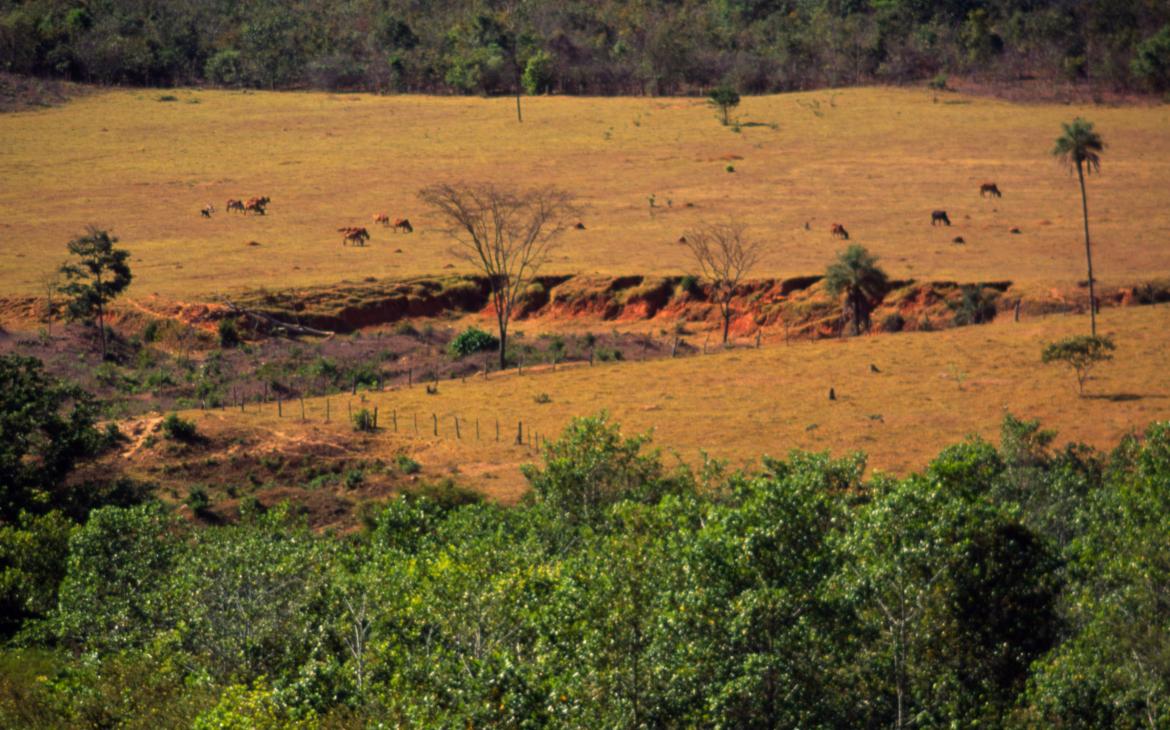 Erosion, Pirenópolis, Goiás (Brésil)